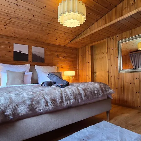 Apartament Alpine Loft, Central, Balcony, Parking, Family,ps5 Frutigen