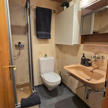 Alpine Loft, Central, Balcony, Parking, Family,ps5 Frutigen